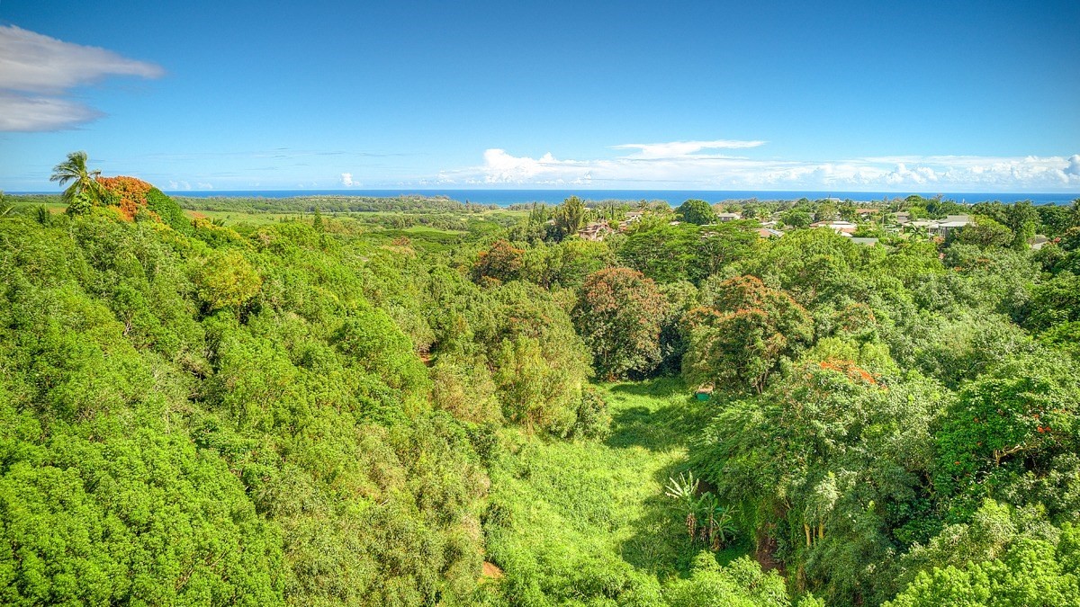 5609 C Honua Road, Unit 2 Kapaa, HI 96746 - Photo 4 of 18