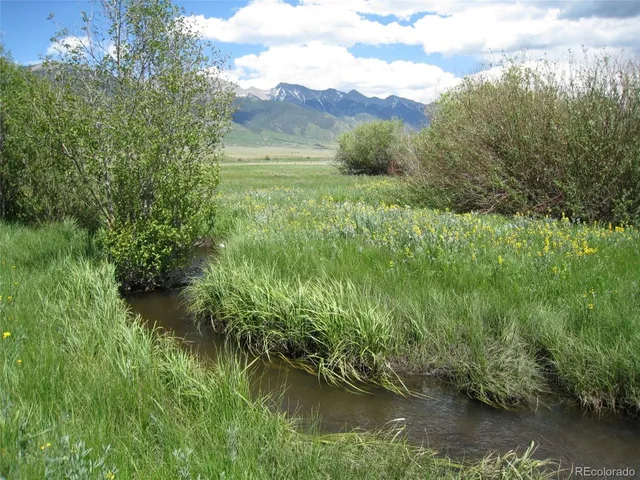 a view of a garden with a lake