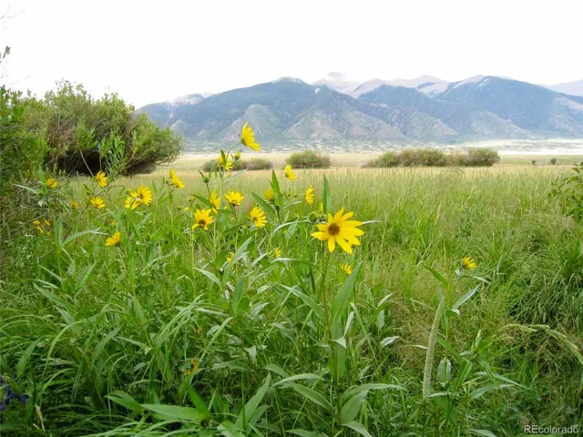 a view of a houses with a lush green hillside and a lake view