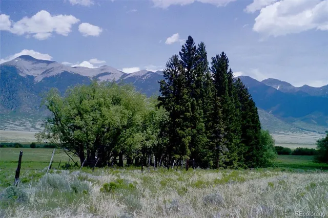 a view of a lush green outdoor space and a yard