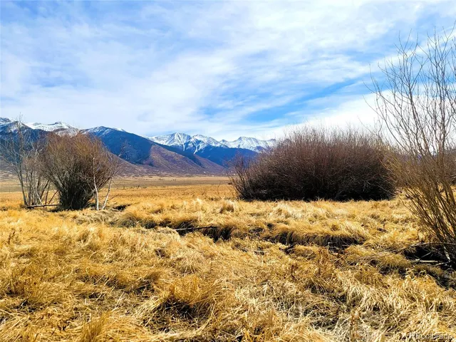 a view of a yard covered in snow