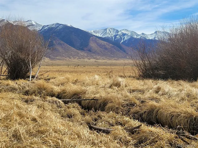 a view of a dry yard