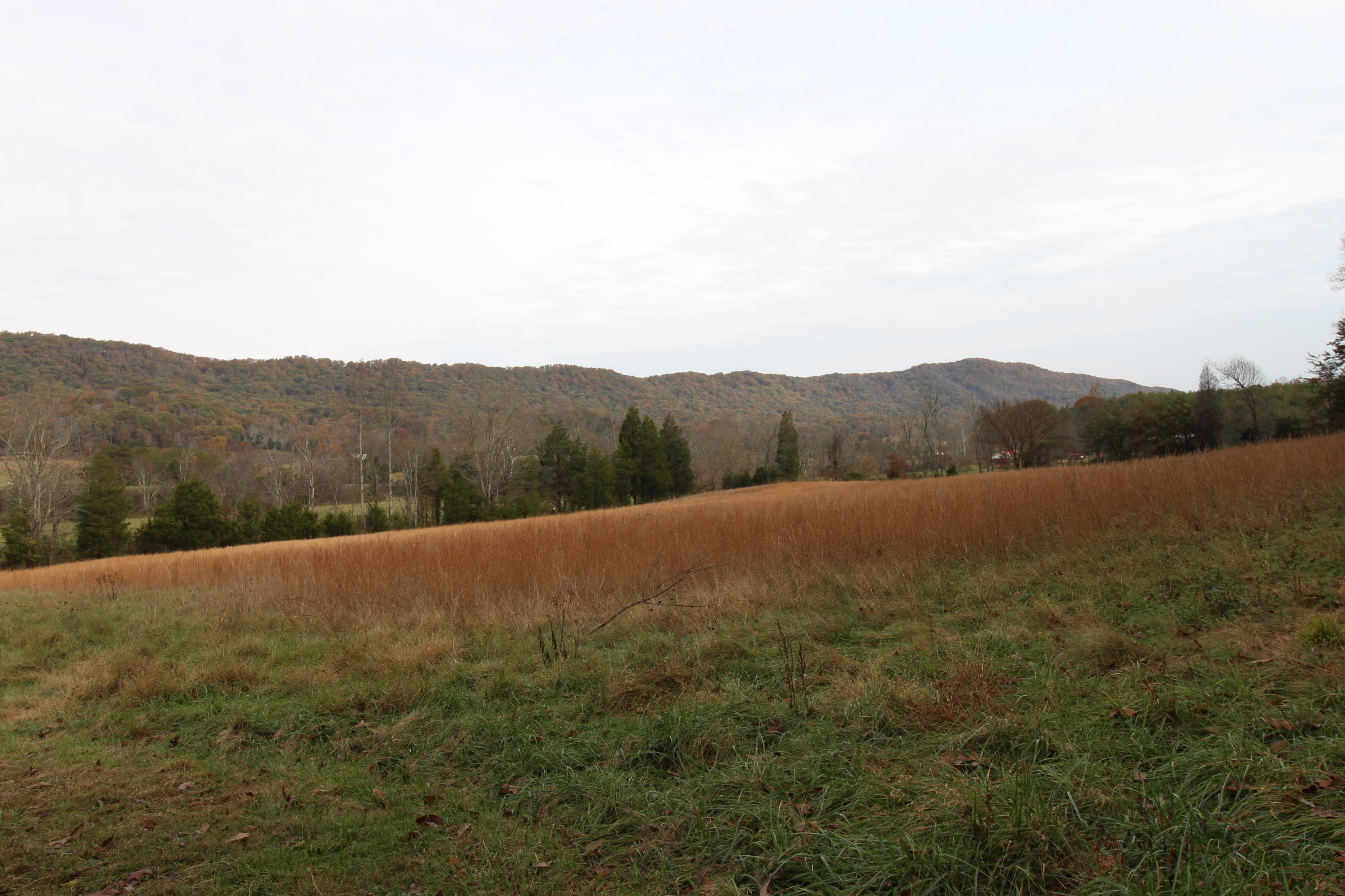 107 Bell Road Rogersville, TN 37857 - Photo 32 of 40 IMG_3672