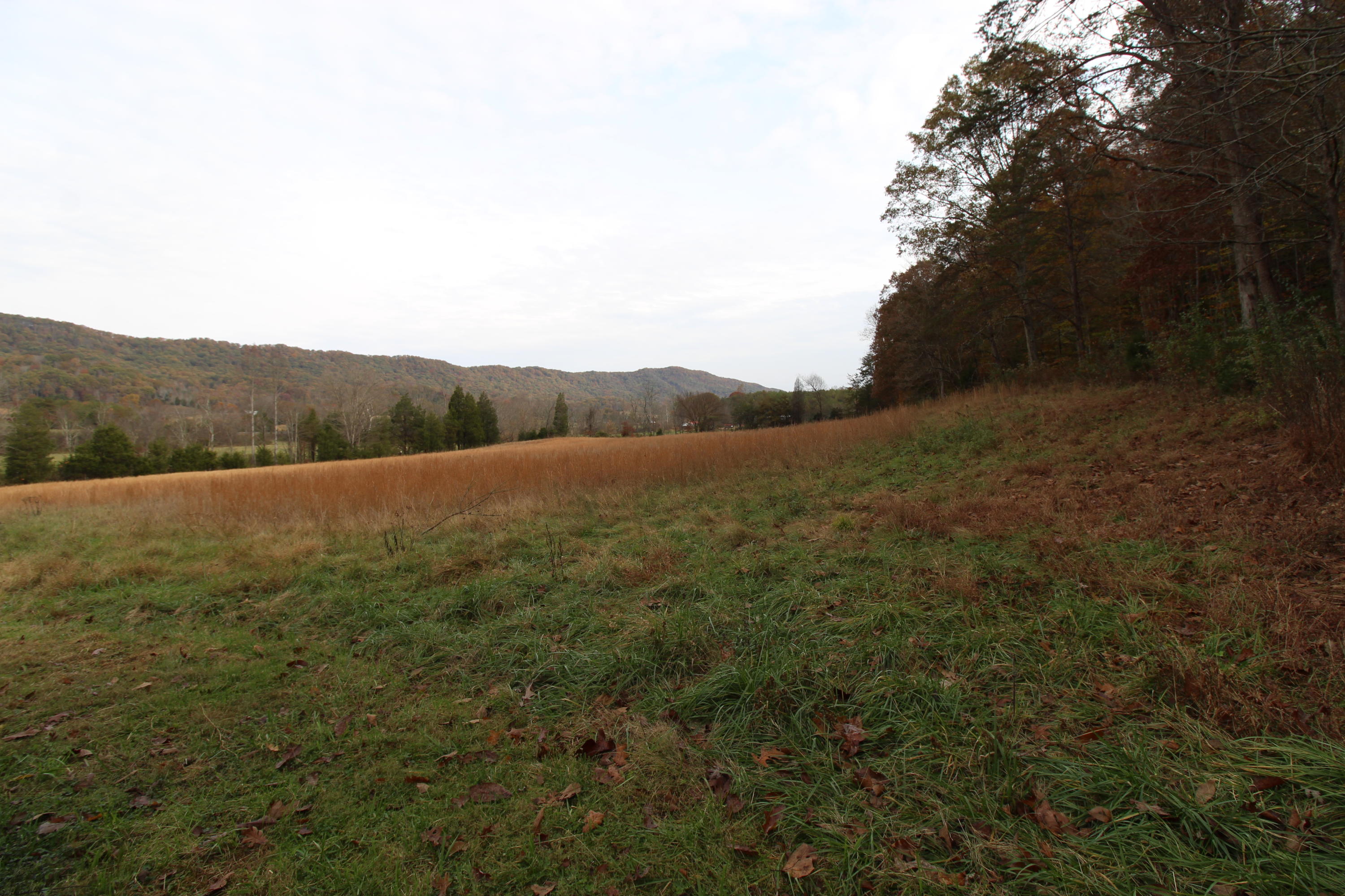 107 Bell Road Rogersville, TN 37857 - Photo 33 of 40 IMG_3671