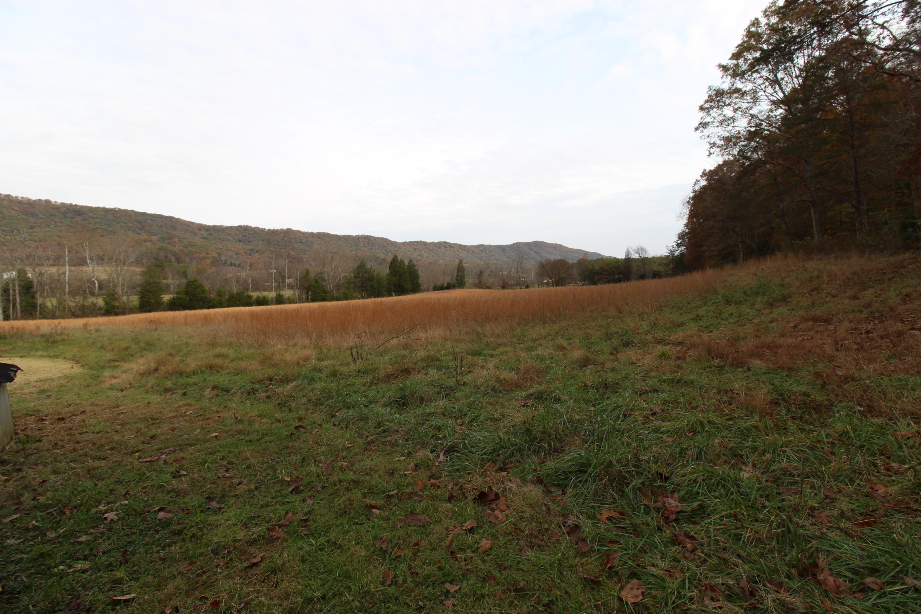 107 Bell Road Rogersville, TN 37857 - Photo 34 of 40 IMG_3670