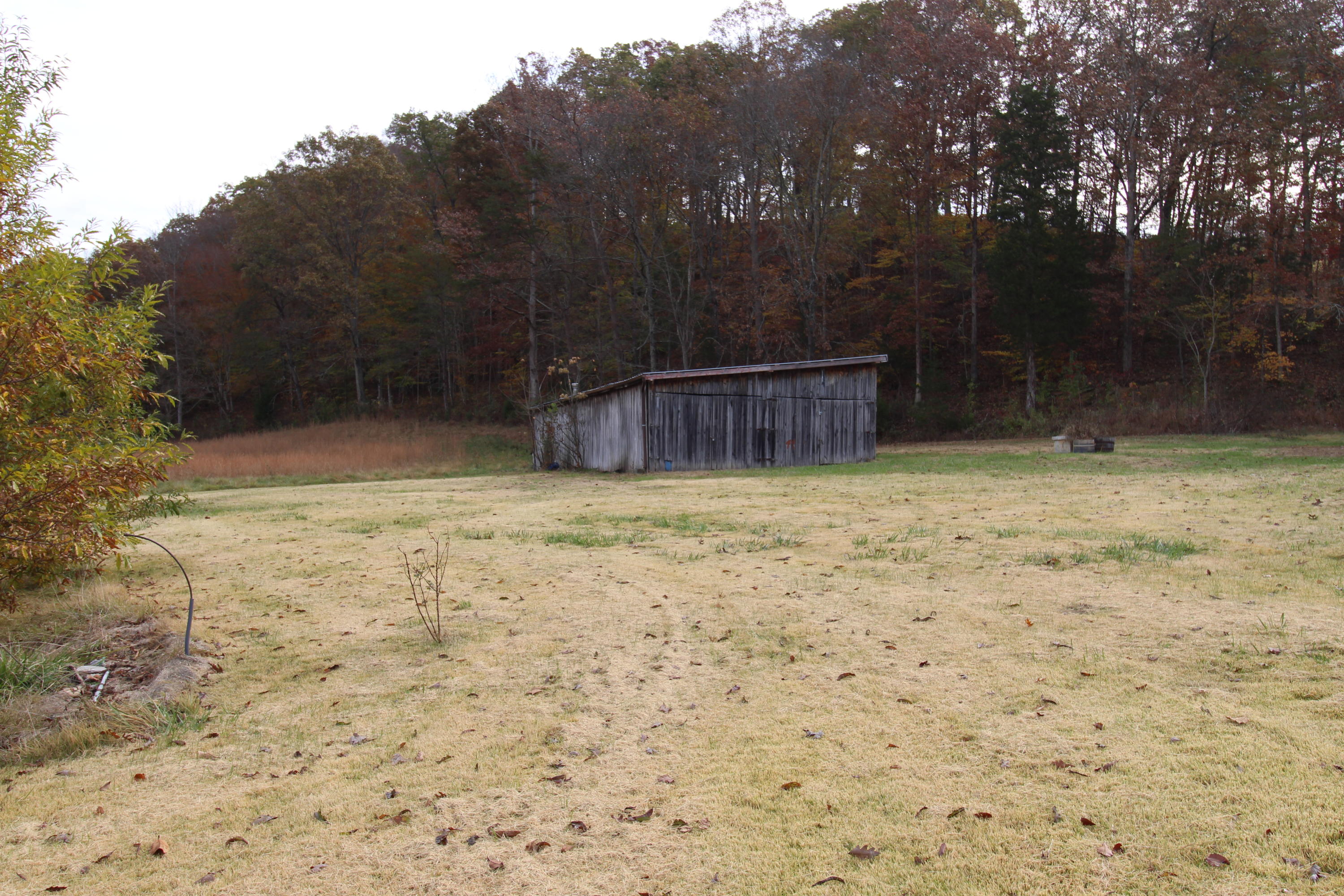 107 Bell Road Rogersville, TN 37857 - Photo 35 of 40 IMG_3660
