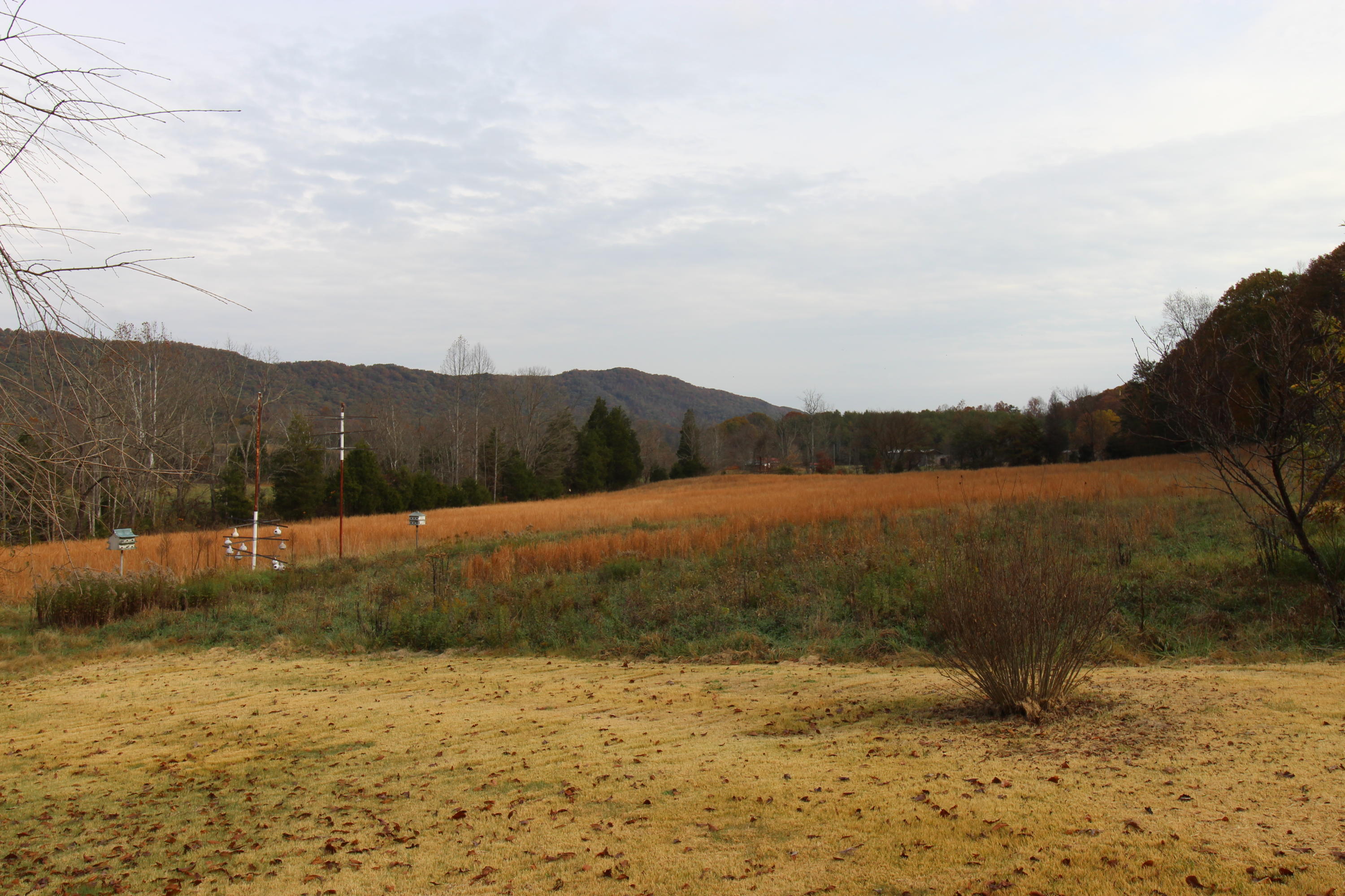 107 Bell Road Rogersville, TN 37857 - Photo 36 of 40 IMG_3659