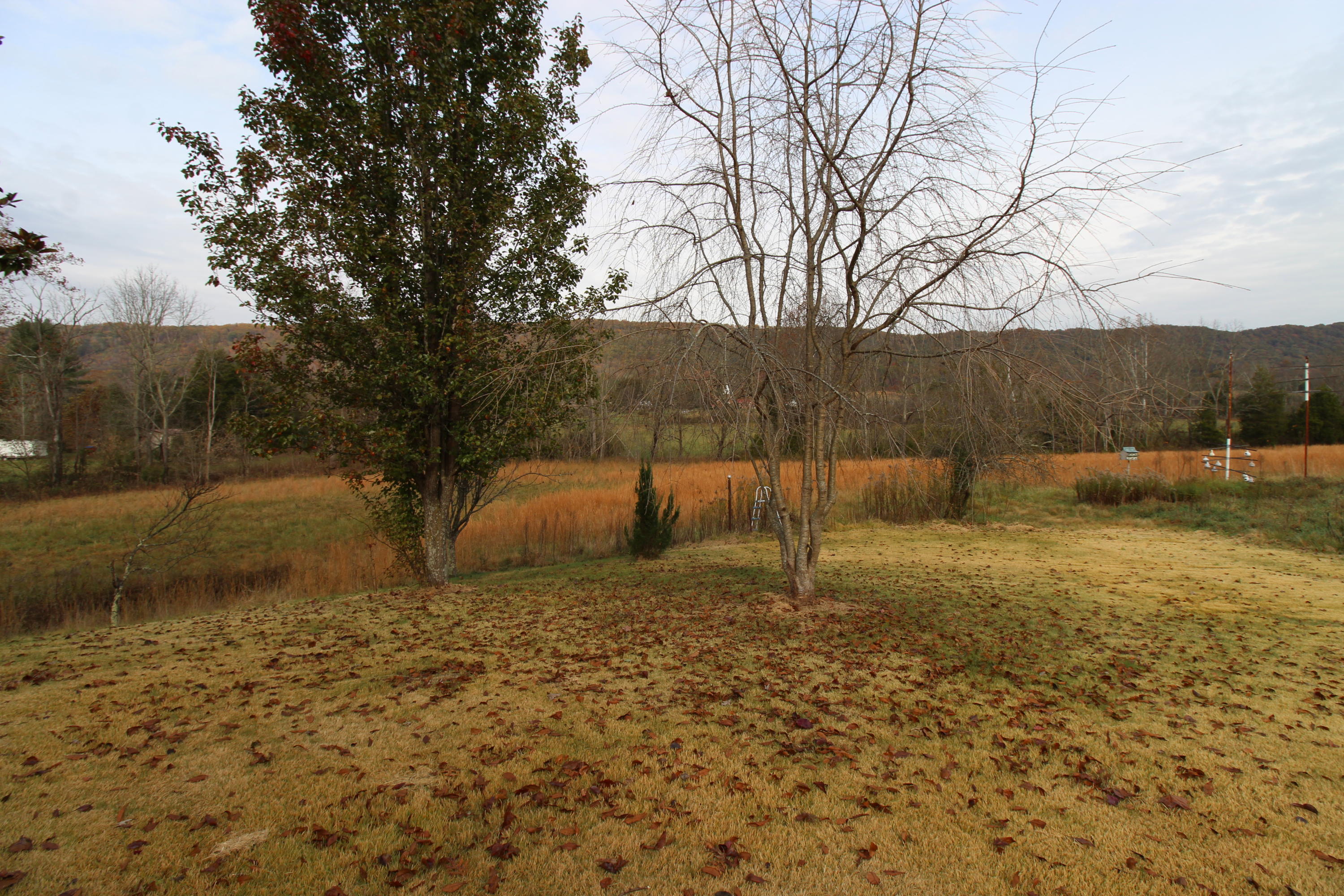 107 Bell Road Rogersville, TN 37857 - Photo 38 of 40 IMG_3657