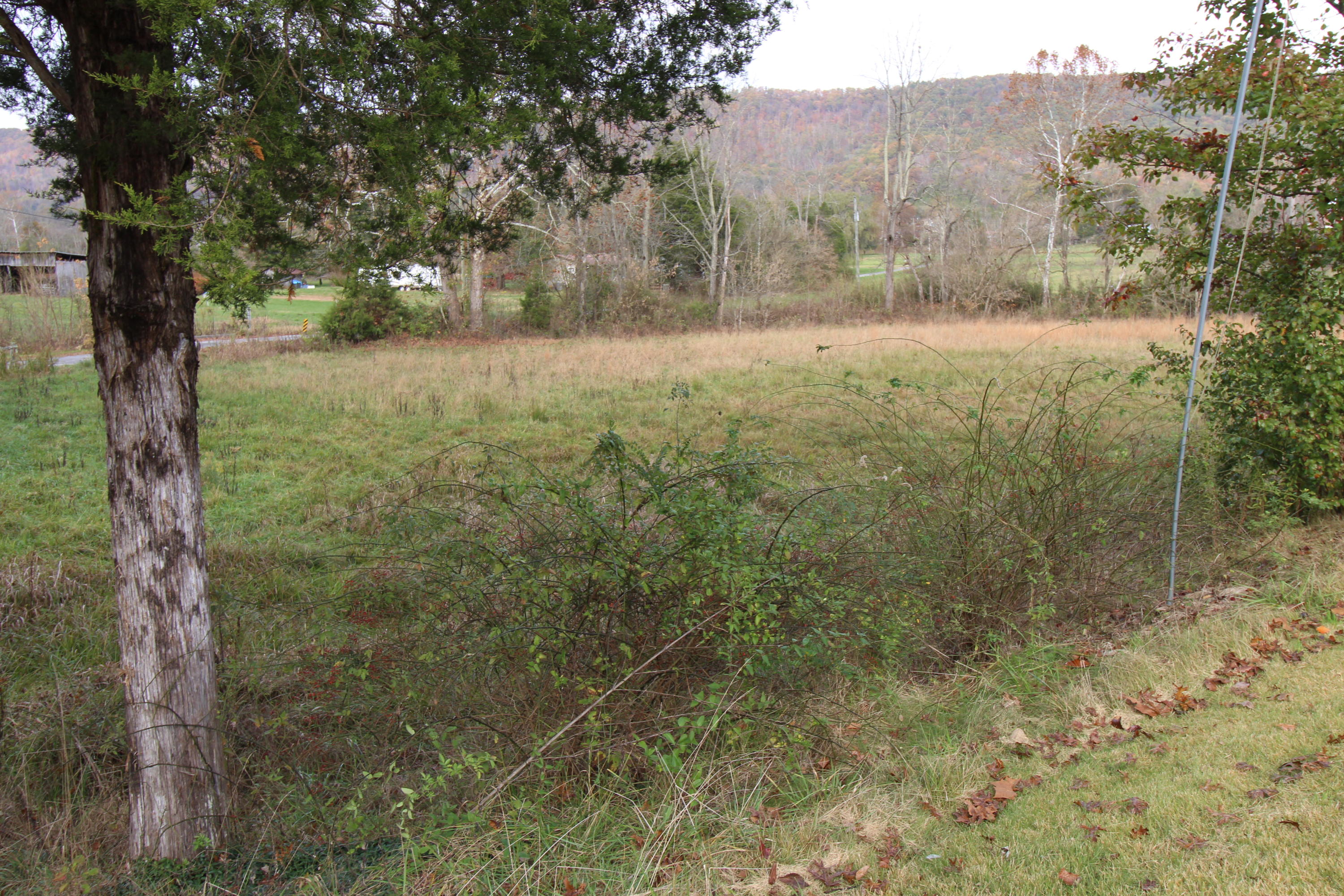 107 Bell Road Rogersville, TN 37857 - Photo 40 of 40 IMG_3650