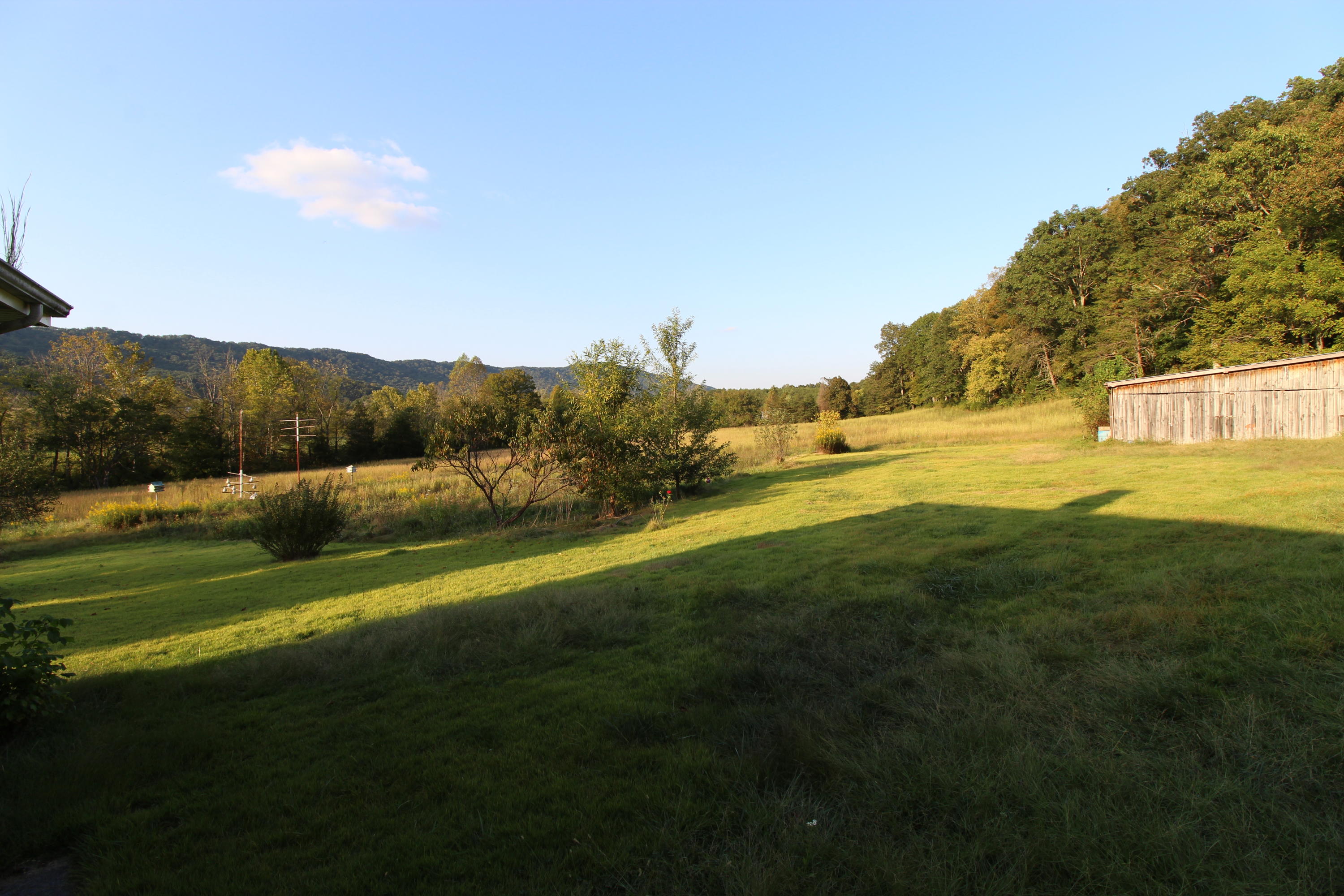 107 Bell Road Rogersville, TN 37857 - Photo 5 of 40 IMG_2683