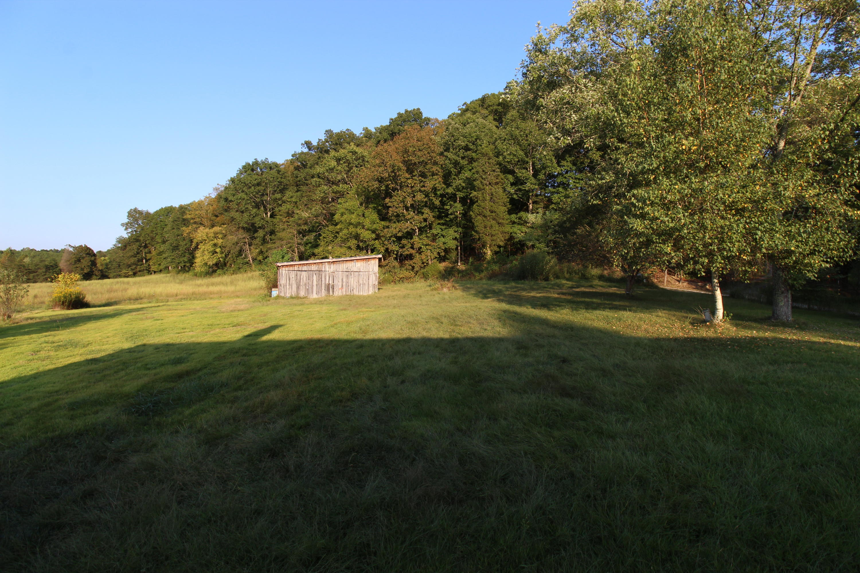 107 Bell Road Rogersville, TN 37857 - Photo 6 of 40 IMG_2684