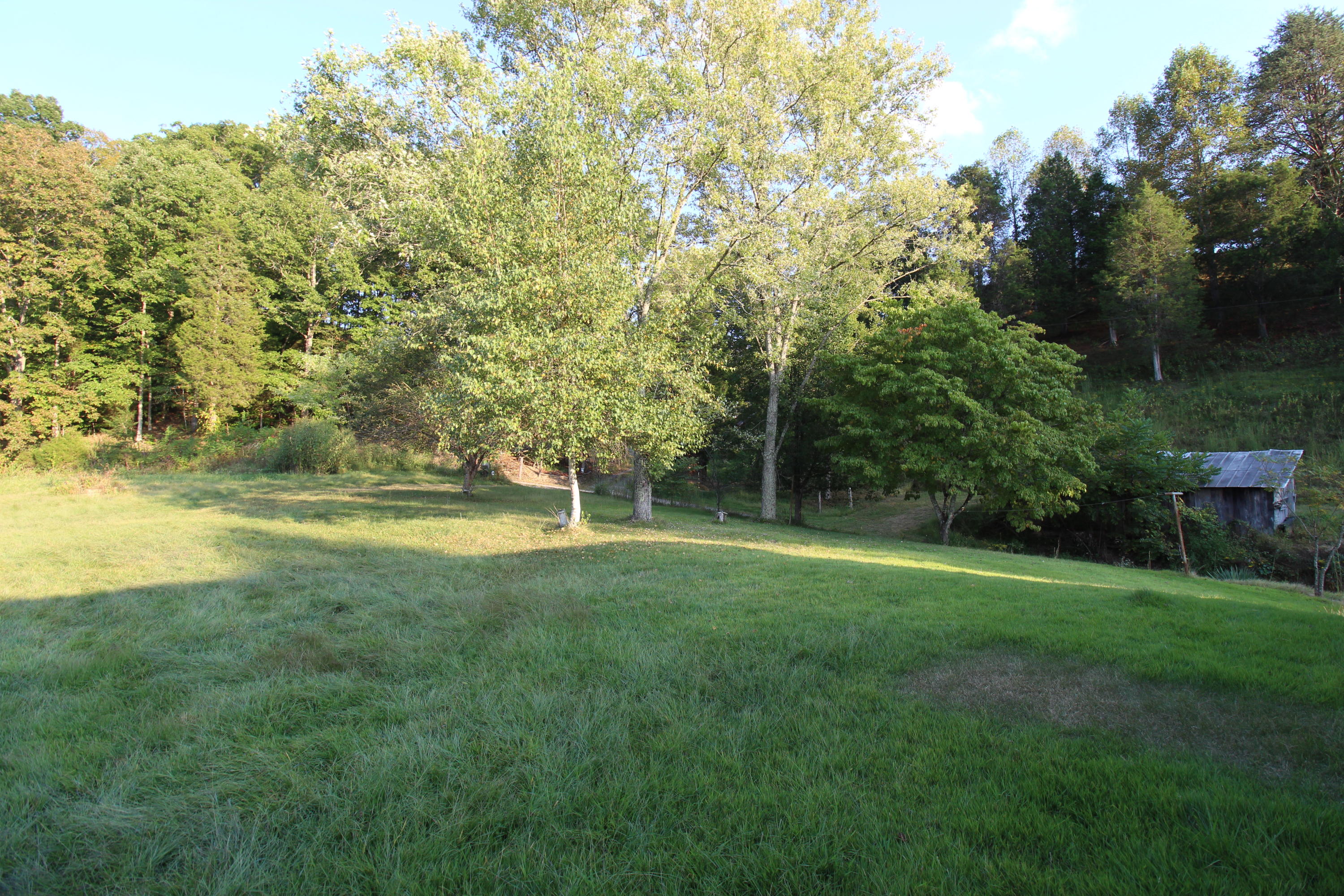 107 Bell Road Rogersville, TN 37857 - Photo 7 of 40 IMG_2685