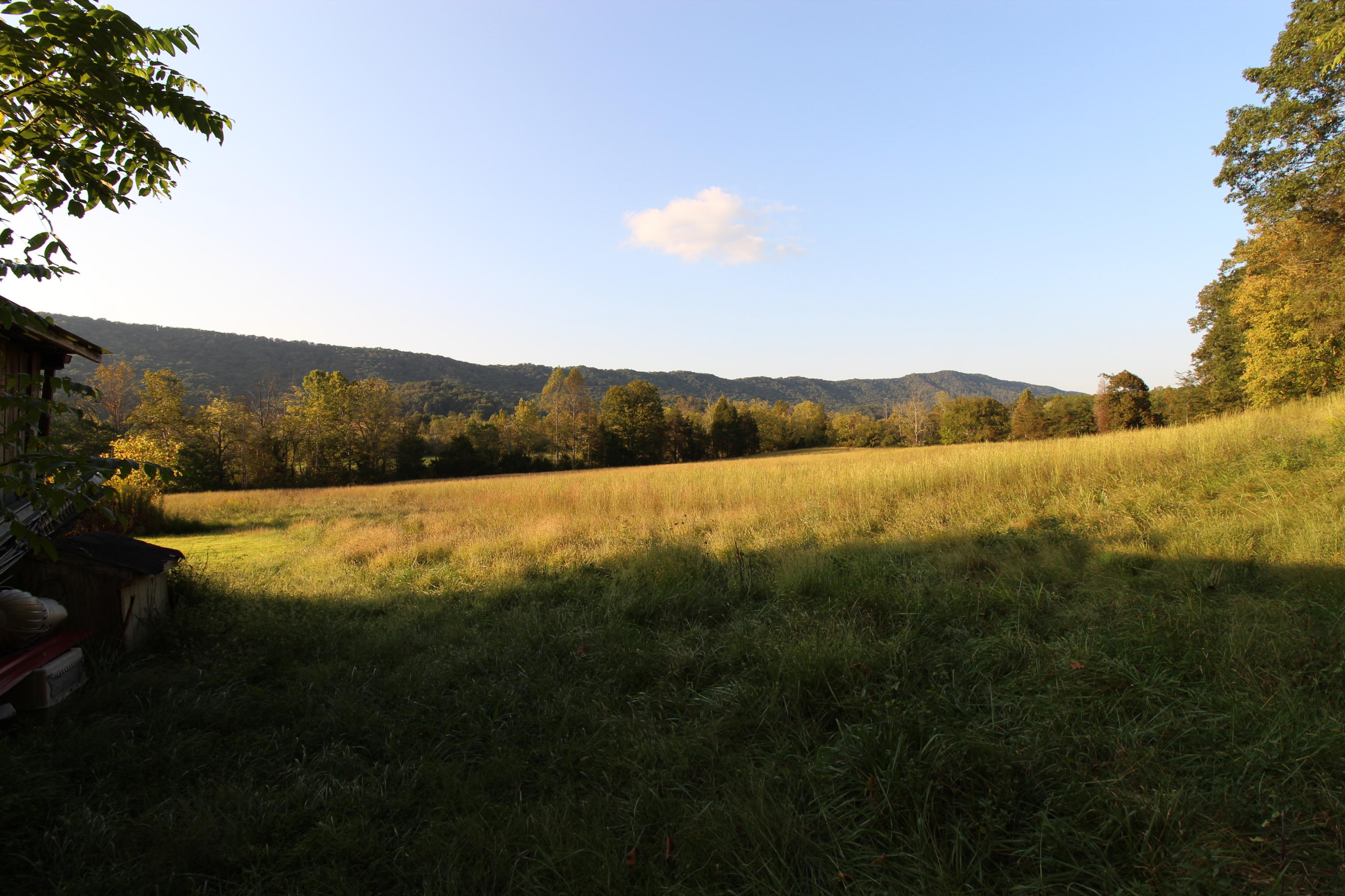 107 Bell Road Rogersville, TN 37857 - Photo 9 of 40 IMG_2694