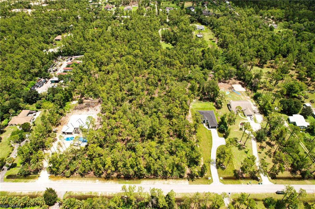 6 Ave Ne Naples Naples, FL 34102 - Photo 6 of 10 a view of a yard with plants
