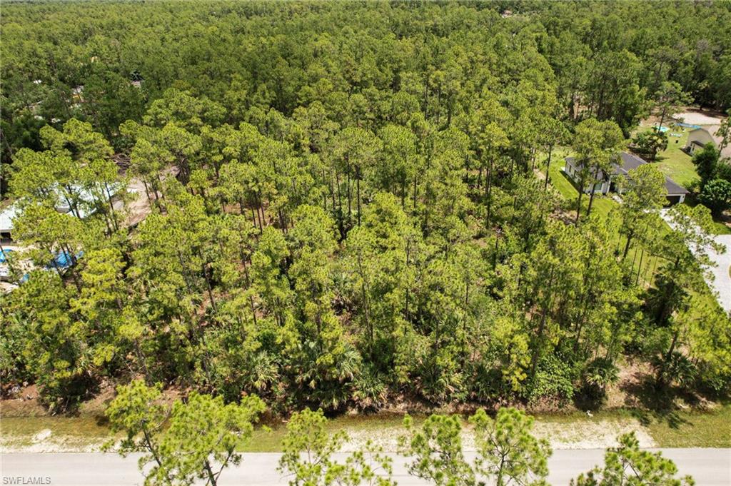 6 Ave Ne Naples Naples, FL 34102 - Photo 9 of 10 a view of a plants of yard