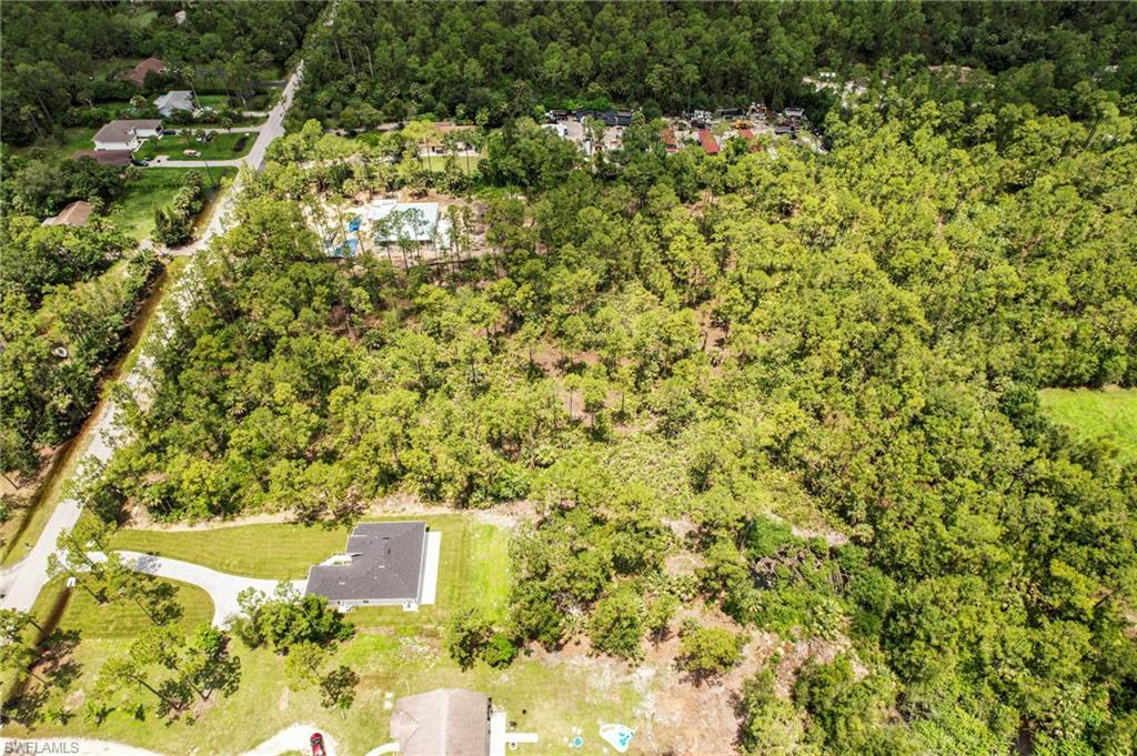 6 Ave Ne Naples Naples, FL 34102 - Photo 10 of 10 a view of a yard with plants