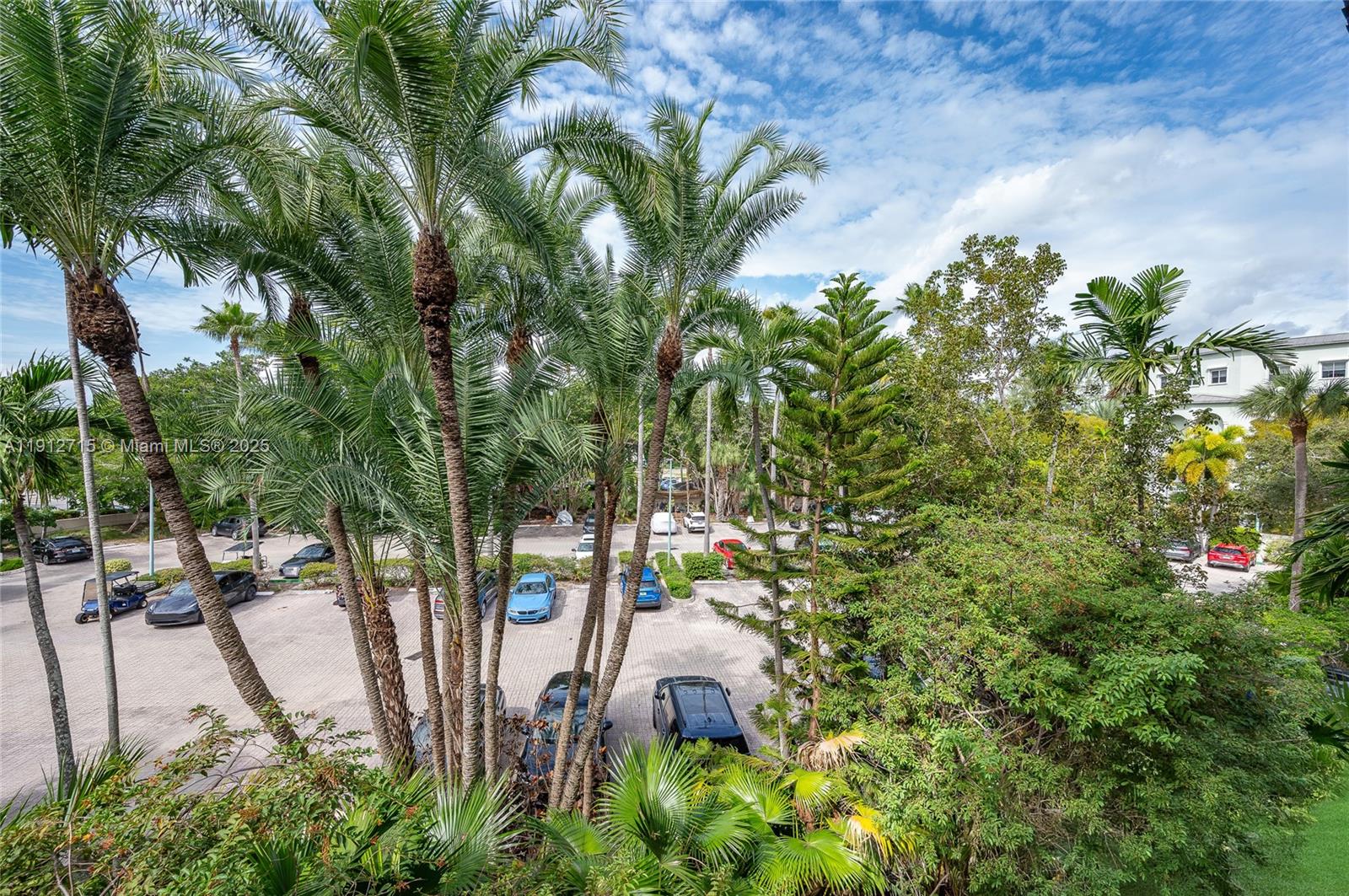 55 Ocean Ln Drive, Unit 3030 Key Biscayne, FL 33149 - Photo 21 of 22 a view of a garden with a tree