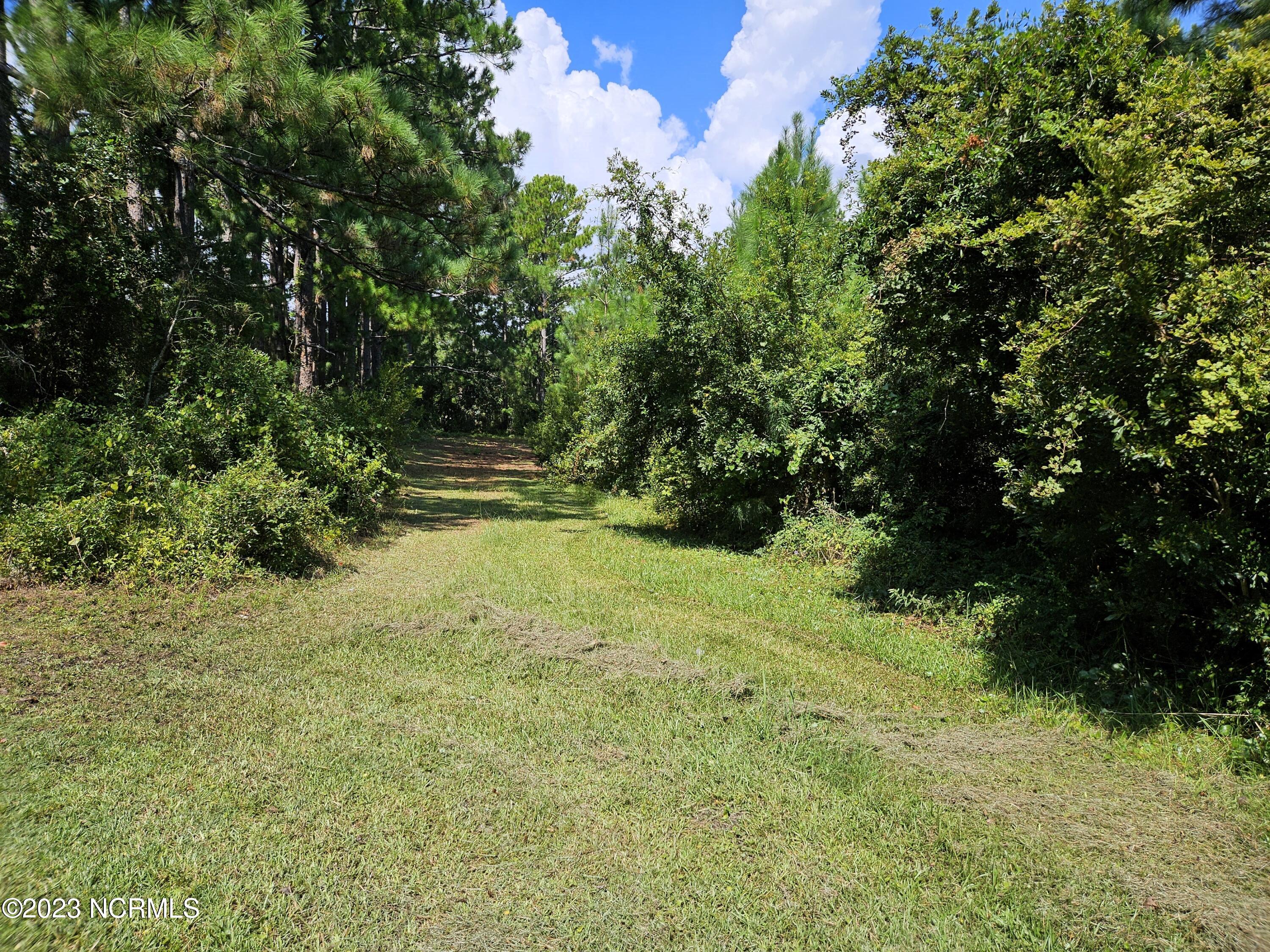 161 Lee Daniels Road Atlantic, NC 28511 - Photo 10 of 32 Backyard