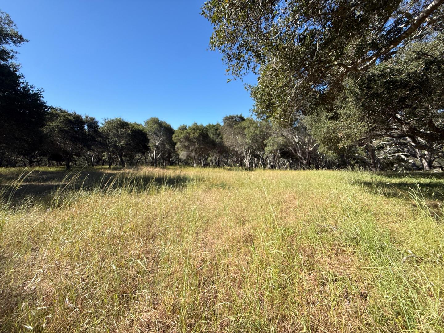 6 Rancho San Carlos Road Carmel, CA 93923 - Photo 12 of 16