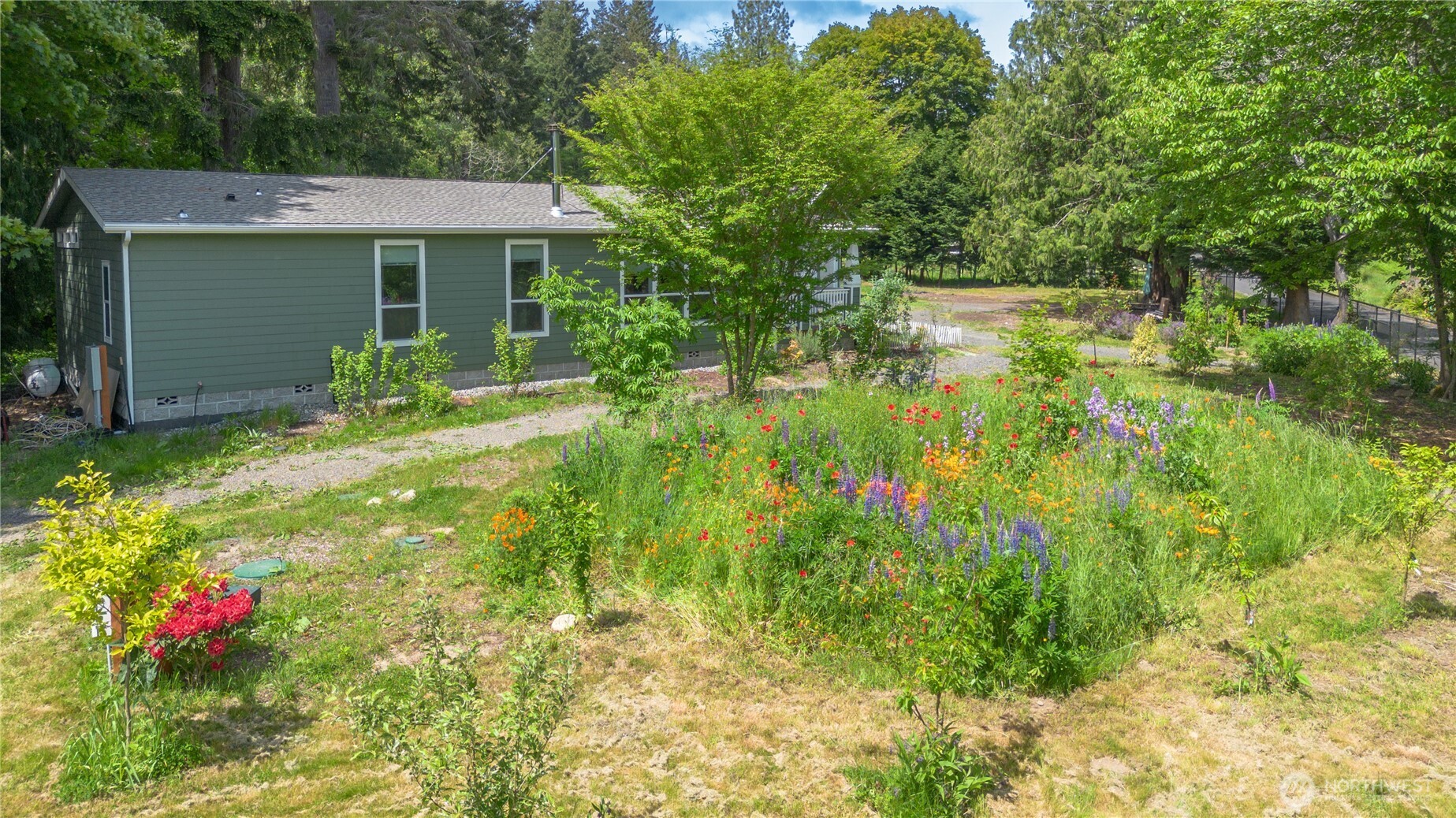 290 Werner Road Port Ludlow, WA 98365 - Photo 30 of 40 a backyard of a house with plants and large trees