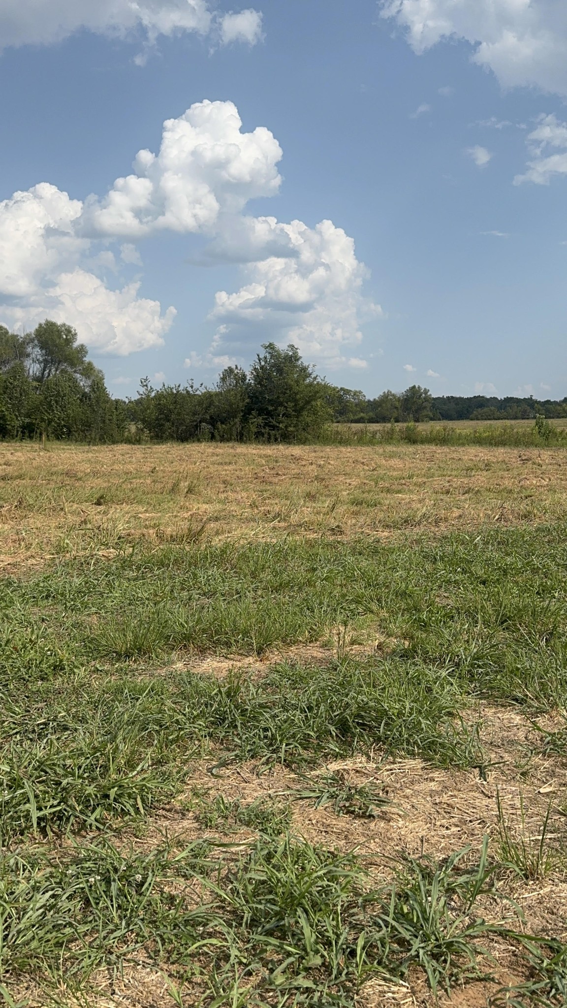 0 Swamp Leanna Road Murfreesboro, TN 37129 - Photo 7 of 7 Gallery Image 7