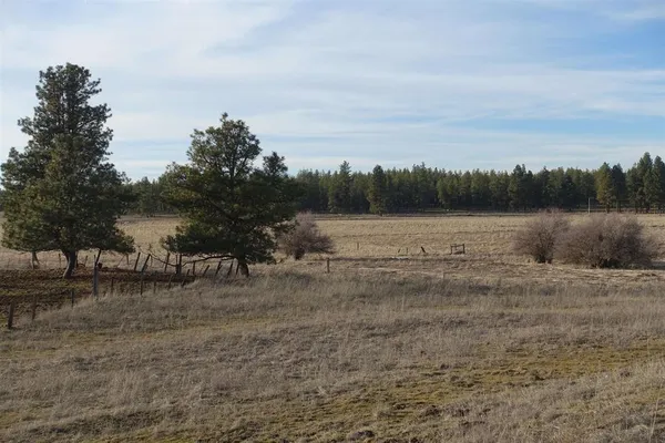 $750,000 | 20-xxx South Parker Road, Spangle, WA 99031