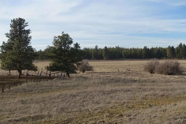 $750,000 | 20-xxx South Parker Road, Spangle, WA 99031