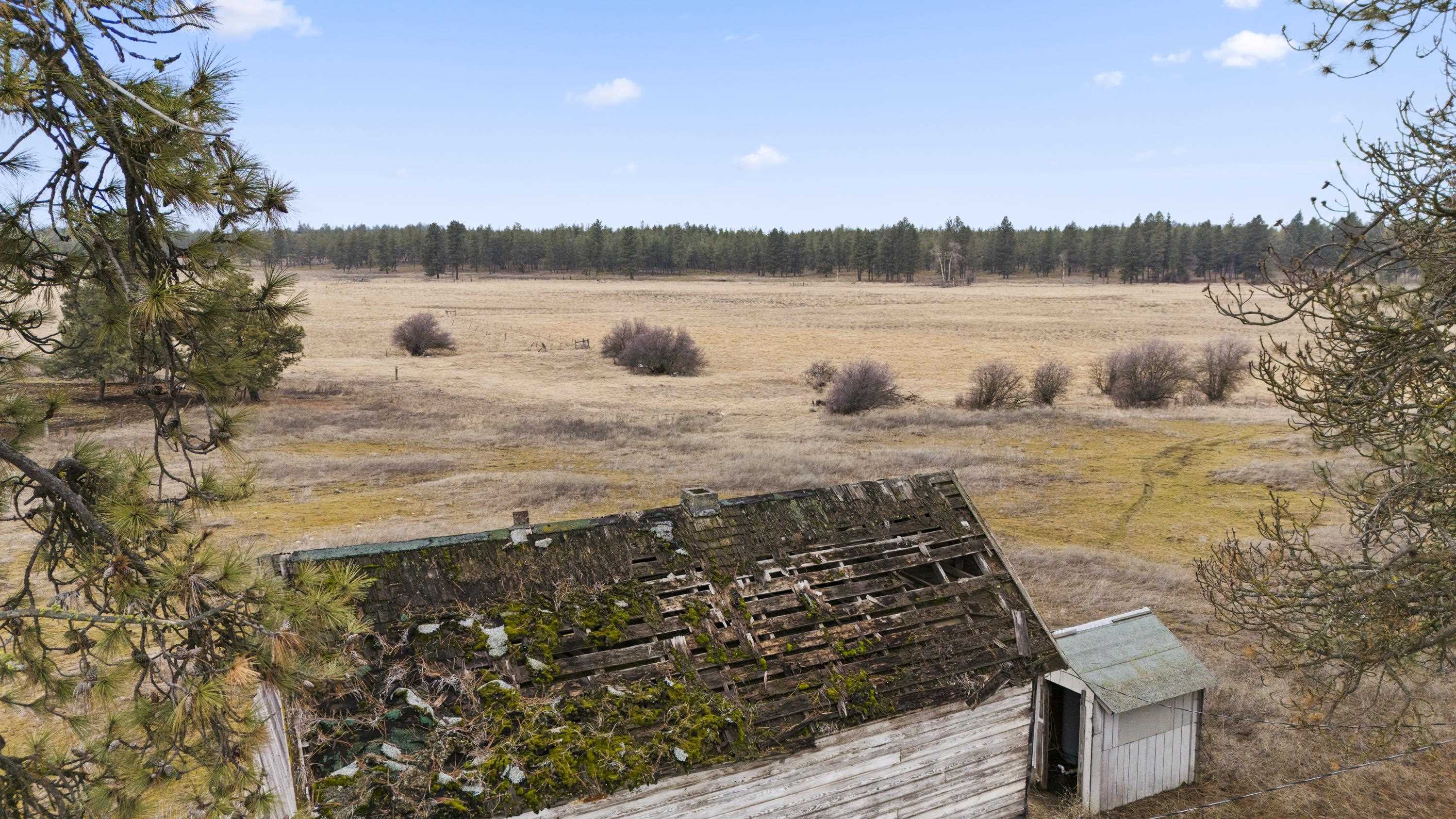 20-xxx South Parker Road Spangle, WA 99031 - Photo 13 of 27