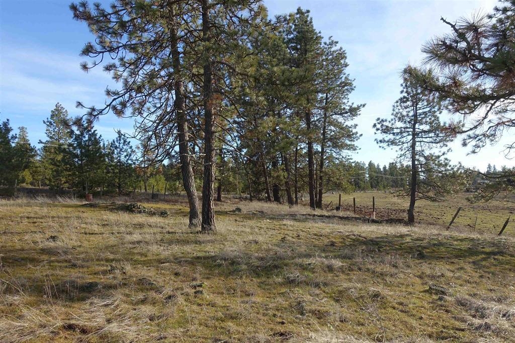 20-xxx South Parker Road Spangle, WA 99031 - Photo 2 of 27