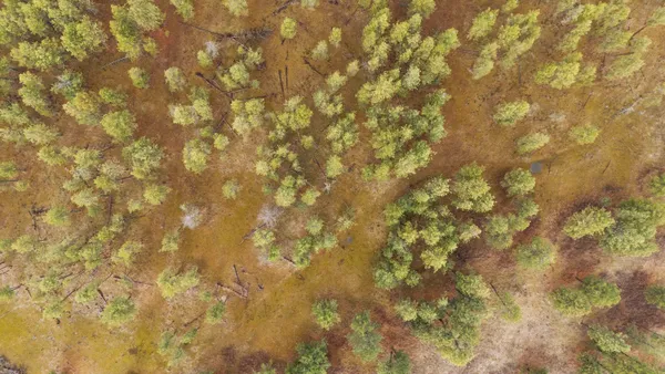 $750,000 | 20-xxx South Parker Road, Spangle, WA 99031