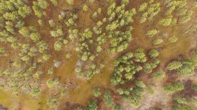 $750,000 | 20-xxx South Parker Road, Spangle, WA 99031