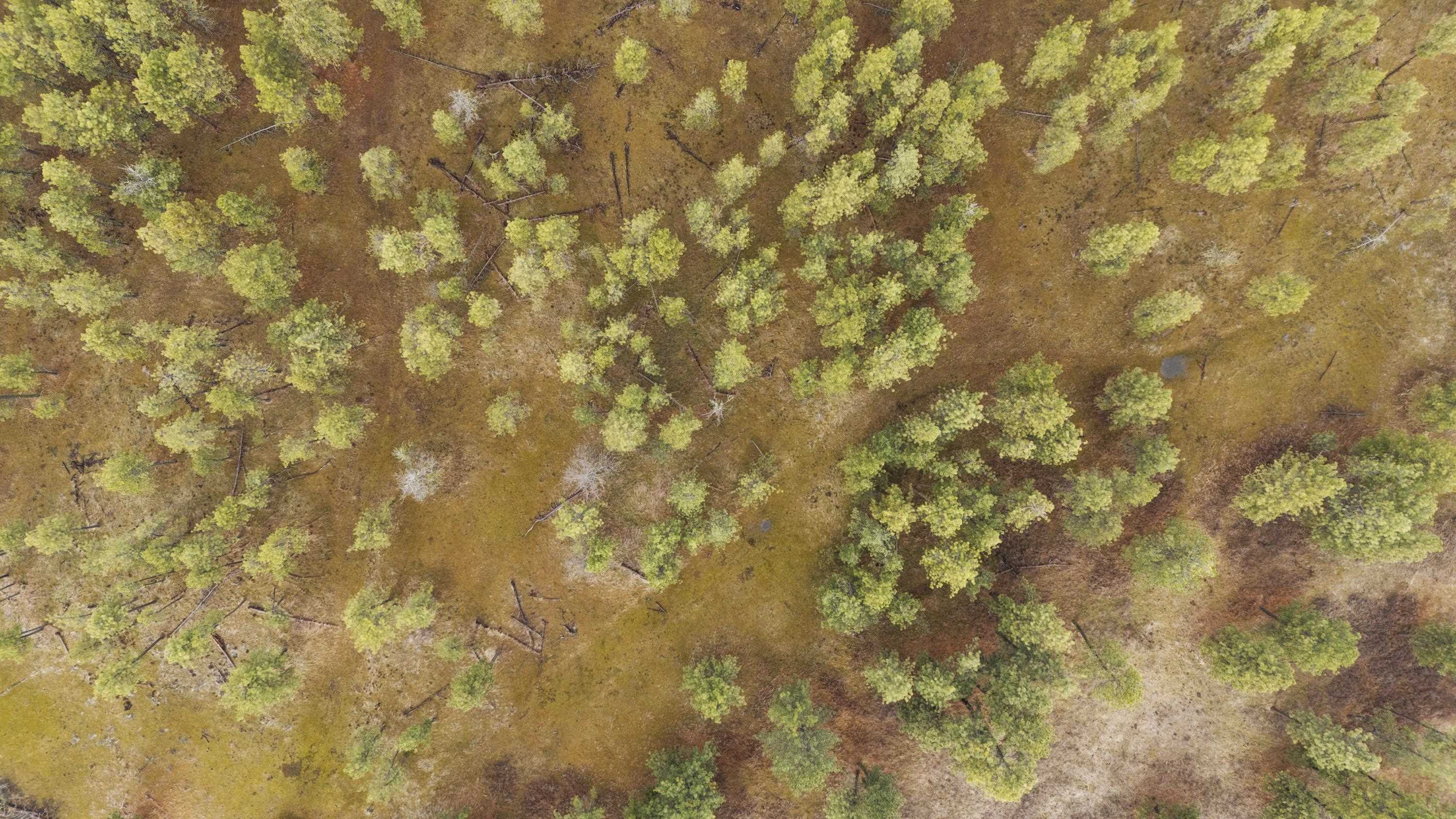 20-xxx South Parker Road Spangle, WA 99031 - Photo 27 of 27