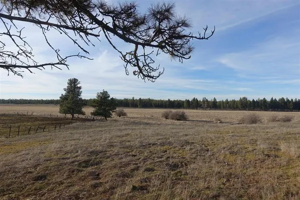 $750,000 | 20-xxx South Parker Road, Spangle, WA 99031
