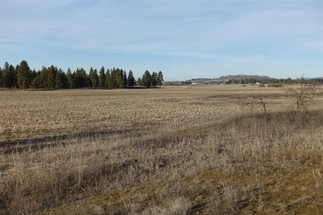 $750,000 | 20-xxx South Parker Road, Spangle, WA 99031