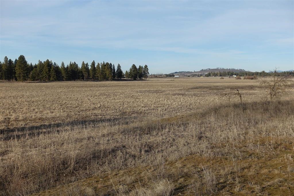 20-xxx South Parker Road Spangle, WA 99031 - Photo 4 of 27