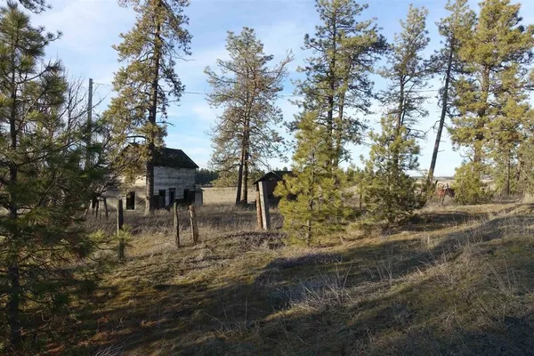 $750,000 | 20-xxx South Parker Road, Spangle, WA 99031