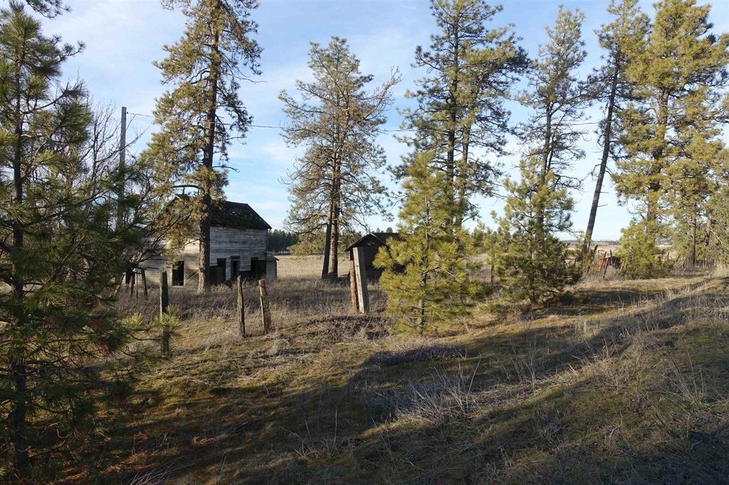 20-xxx South Parker Road Spangle, WA 99031 - Photo 6 of 27