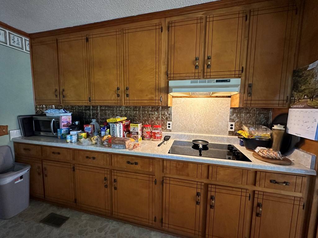 3922 Hodgesville Road Dothan, AL 36301 - Photo 7 of 24
