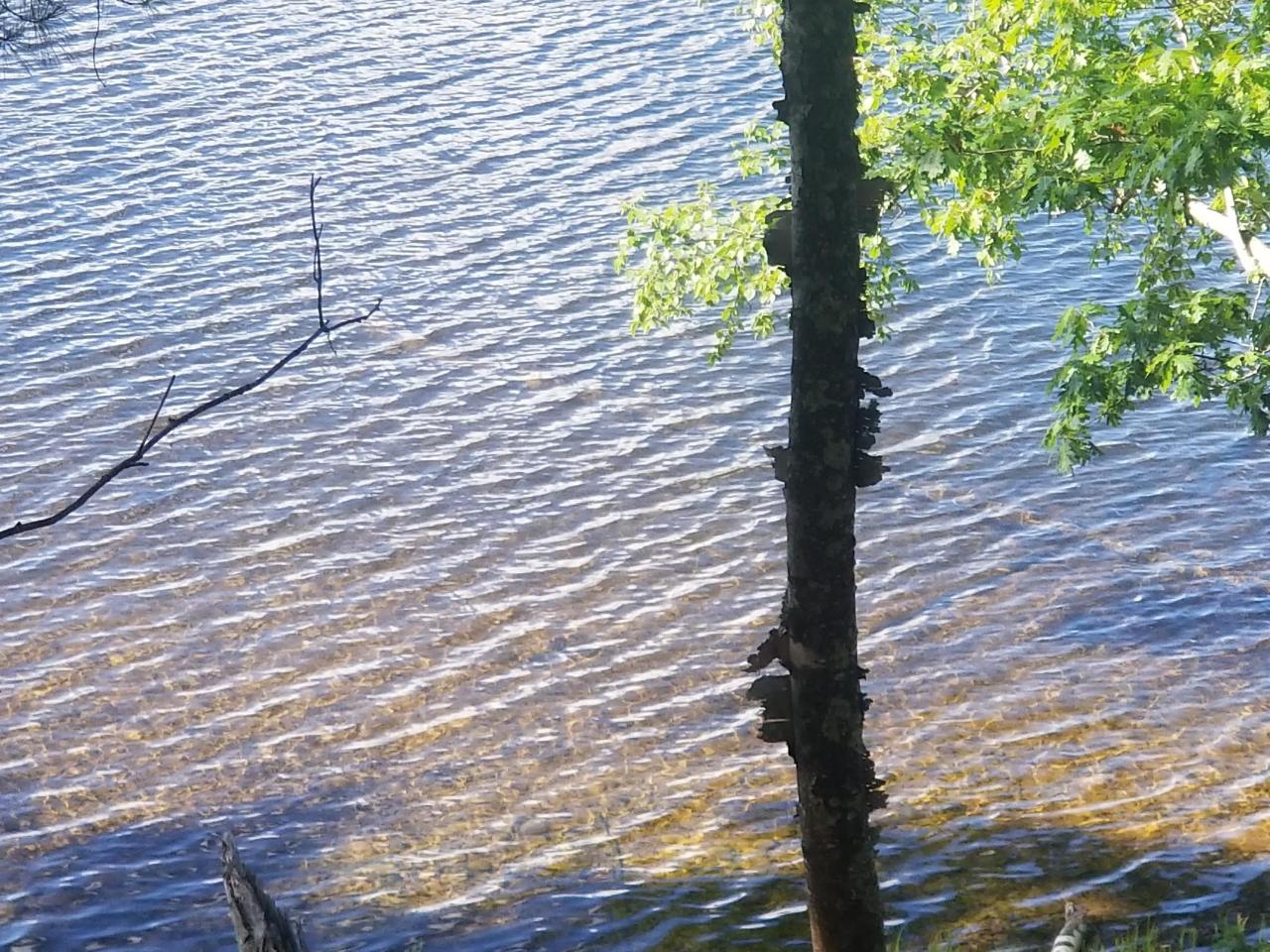 On Sand Lake Road Harshaw, WI 54529 - Photo 11 of 12 Gallery Image 11