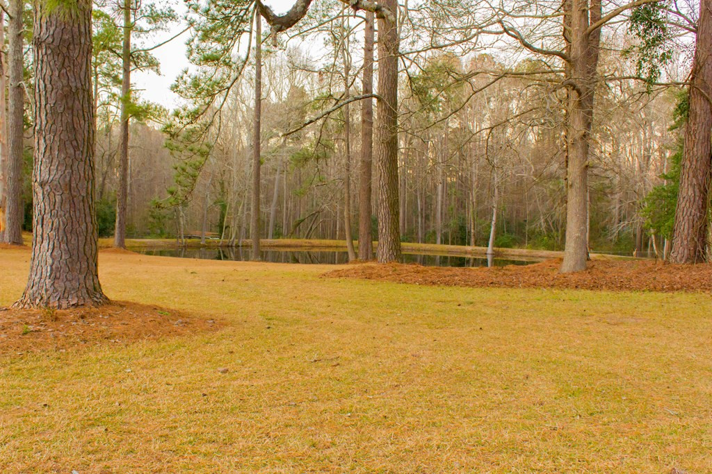 1013 Pinon Road North Augusta, SC 29841 - Photo 3 of 18