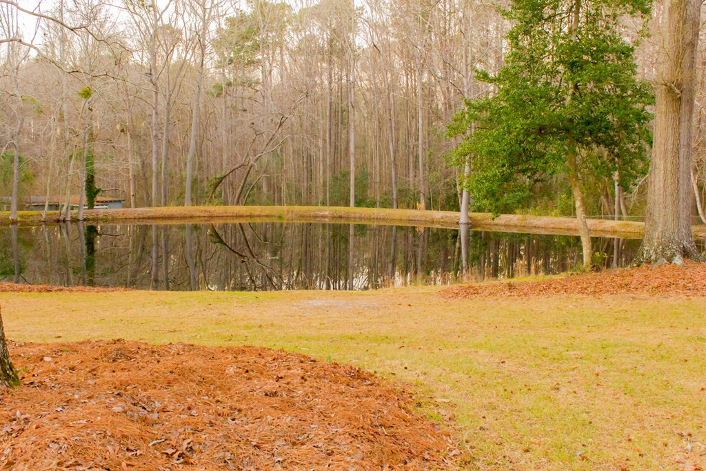 1013 Pinon Road North Augusta, SC 29841 - Photo 4 of 18