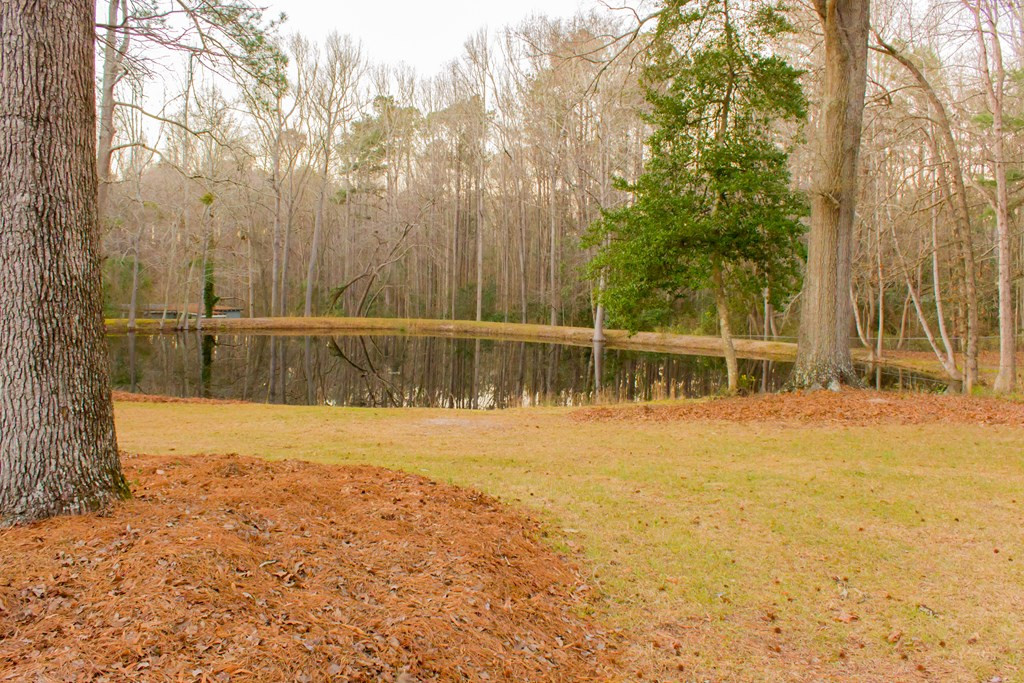 1013 Pinon Road North Augusta, SC 29841 - Photo 5 of 18