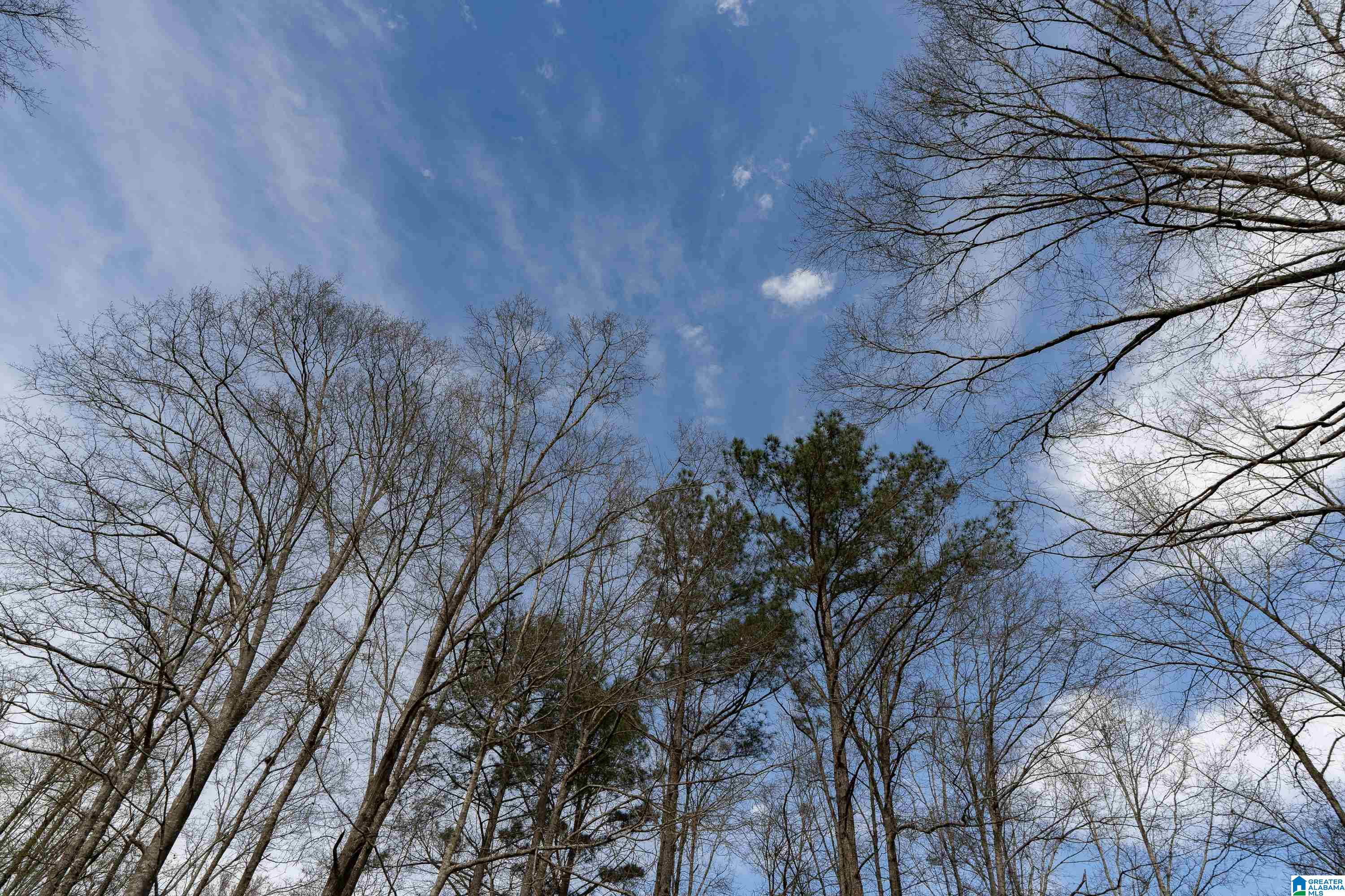 Bates Road, Unit 100 Vincent, AL 35178 - Photo 27 of 29