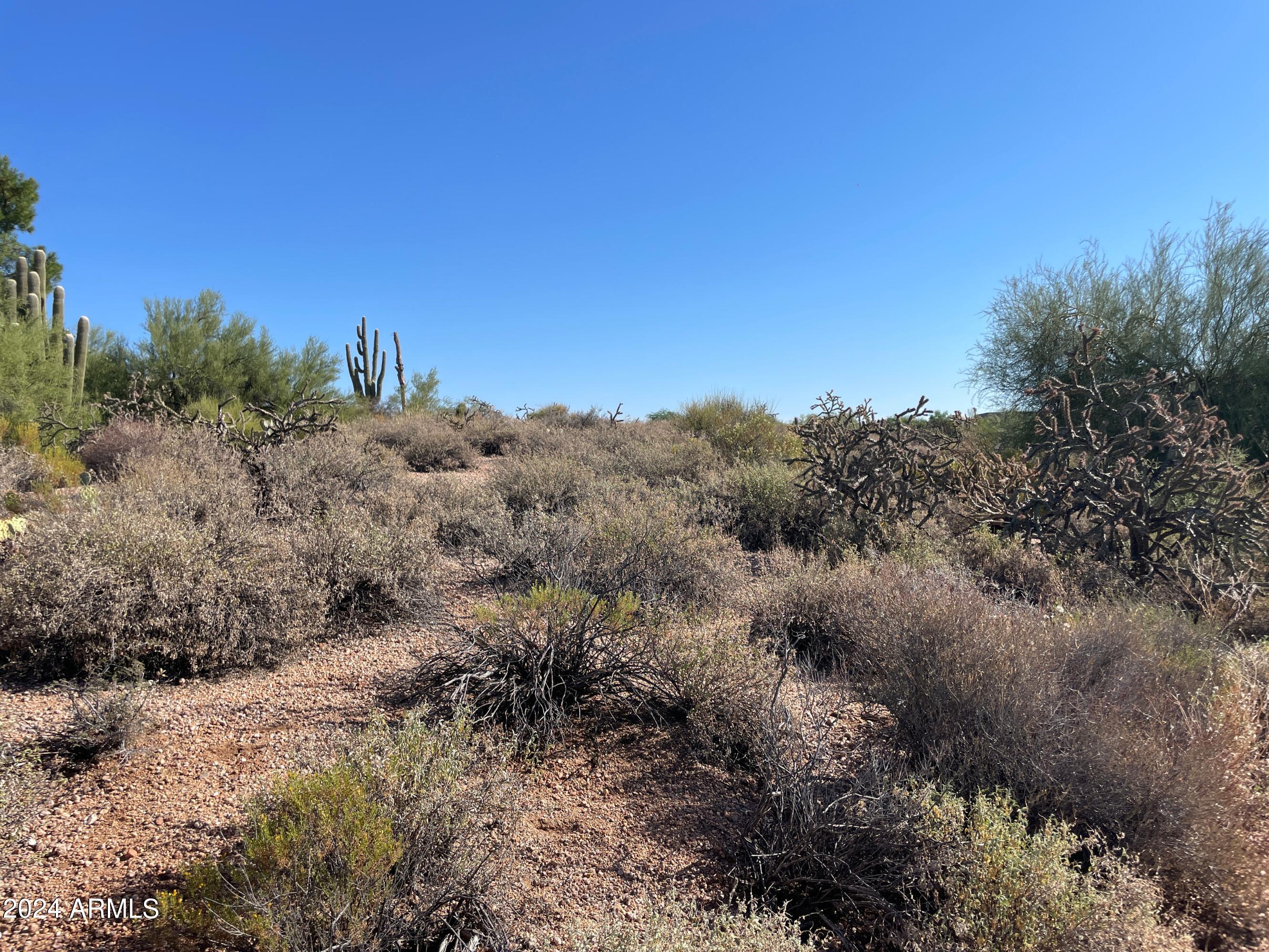 0 North Wild Flower Road, Unit 44 Carefree, AZ 85377 - Photo 3 of 3 Gentle slope
