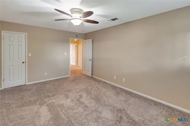 a view of a yard with plants and large trees