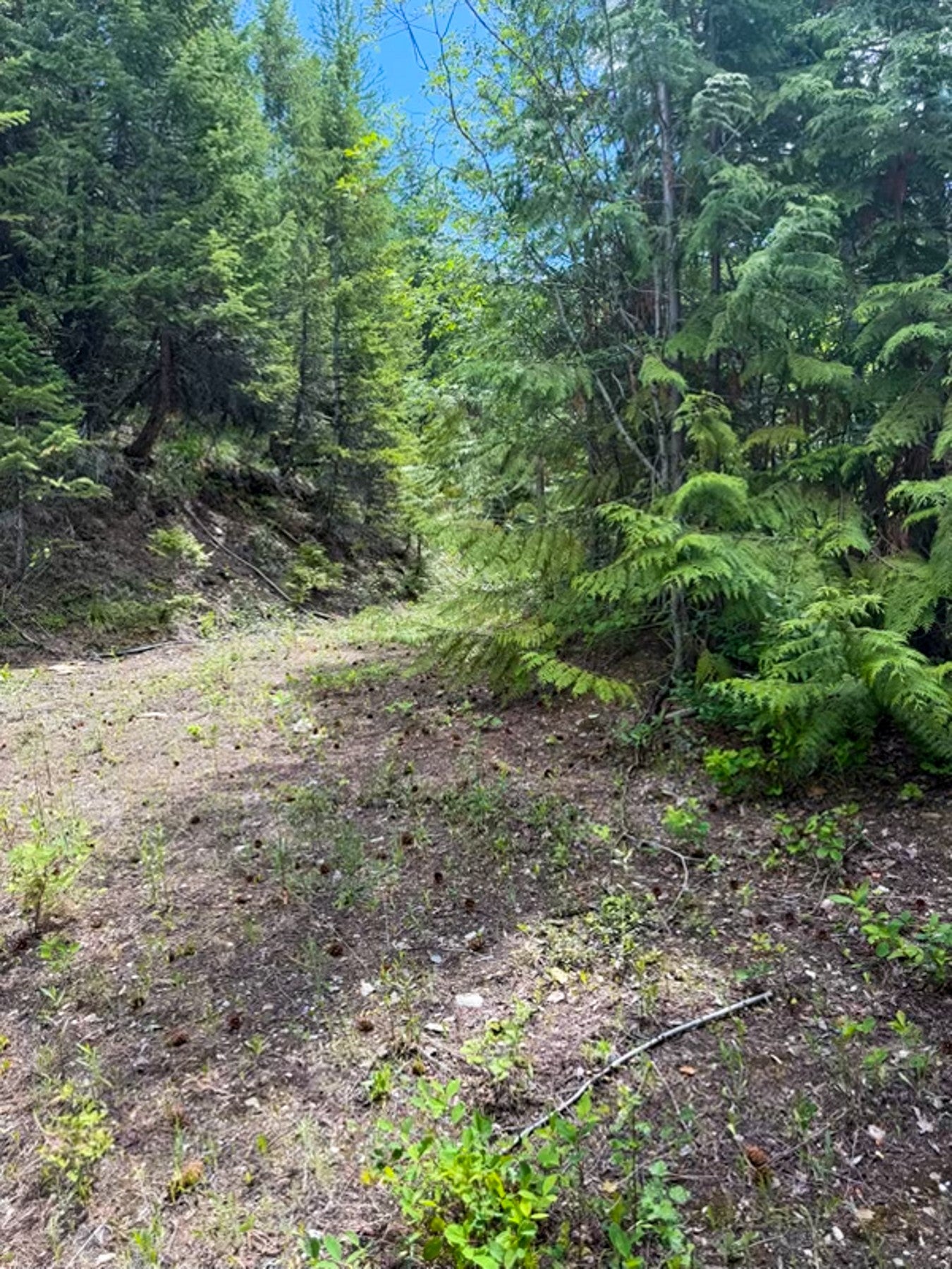 1 Pardee Flat Road Superior, MT 59872 - Photo 31 of 35 Gallery Image 31