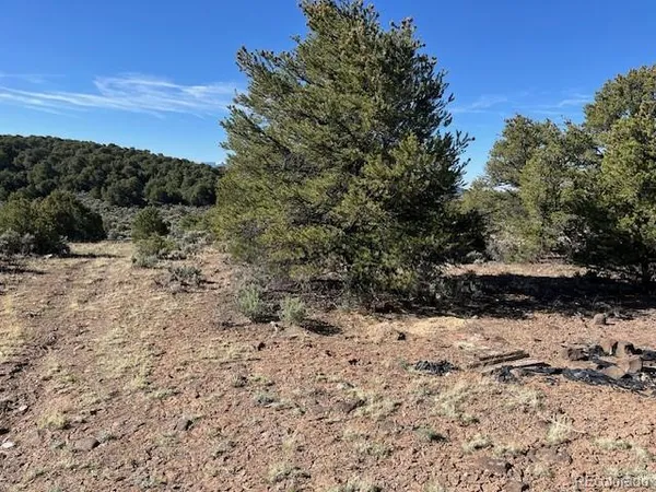 a view of a yard covered in snow