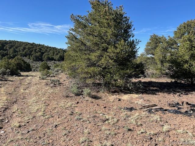 Lot 4 Elk Park Road San Luis, CO 81152 - Photo 14 of 30 a view of a yard covered in snow