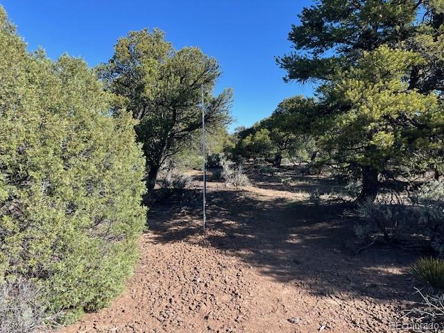 Lot 4 Elk Park Road San Luis, CO 81152 - Photo 16 of 30 a picture of trees