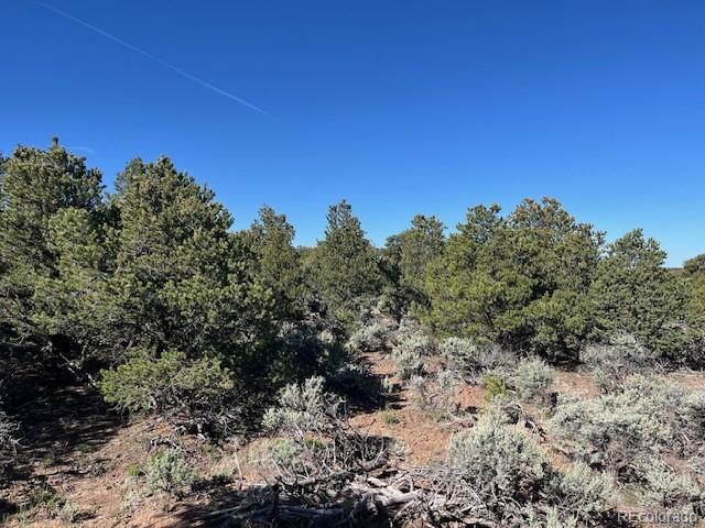 Lot 4 Elk Park Road San Luis, CO 81152 - Photo 19 of 30 a view of a large yard with lots of green space